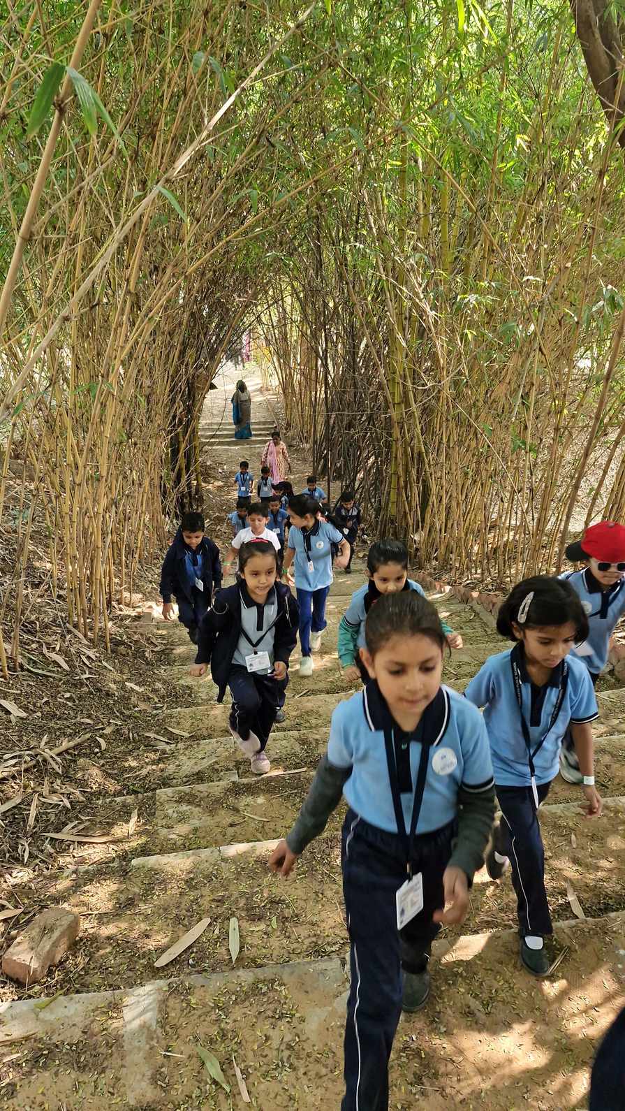 Students walking down stairs through bamboo tunnel