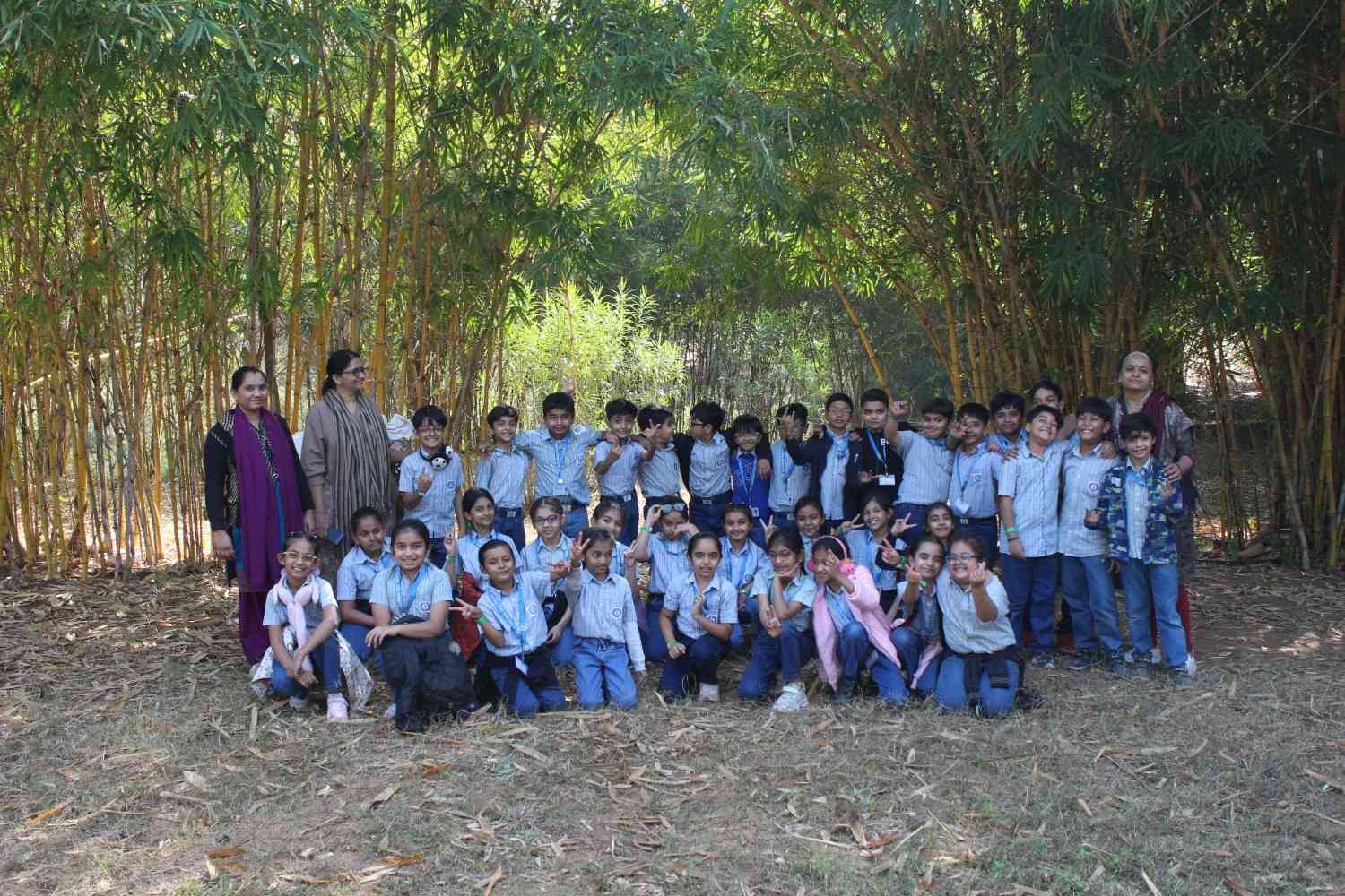 Class group photo posing in a bamboo grove