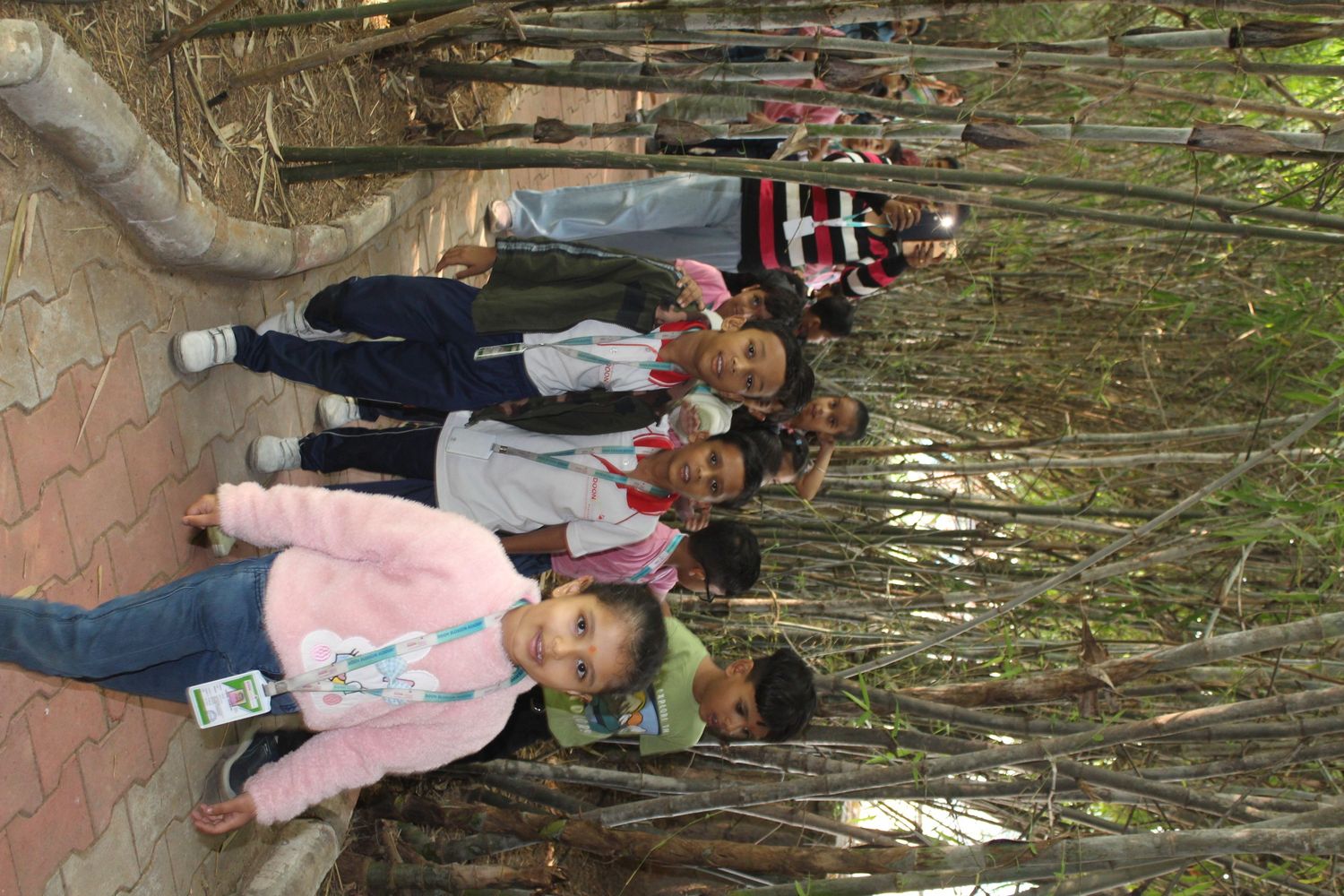 Students walking on paved path through bamboo
