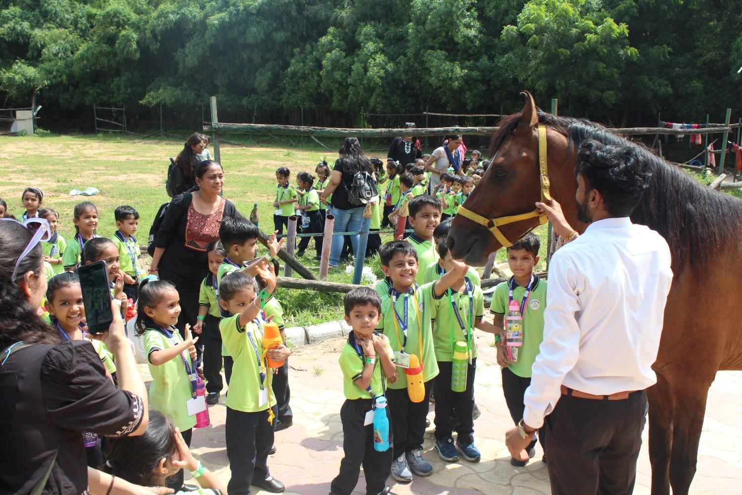 Students interacting with brown horse at farm