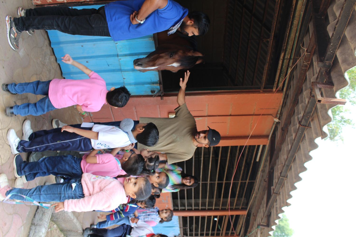 Students looking at horse in the stable