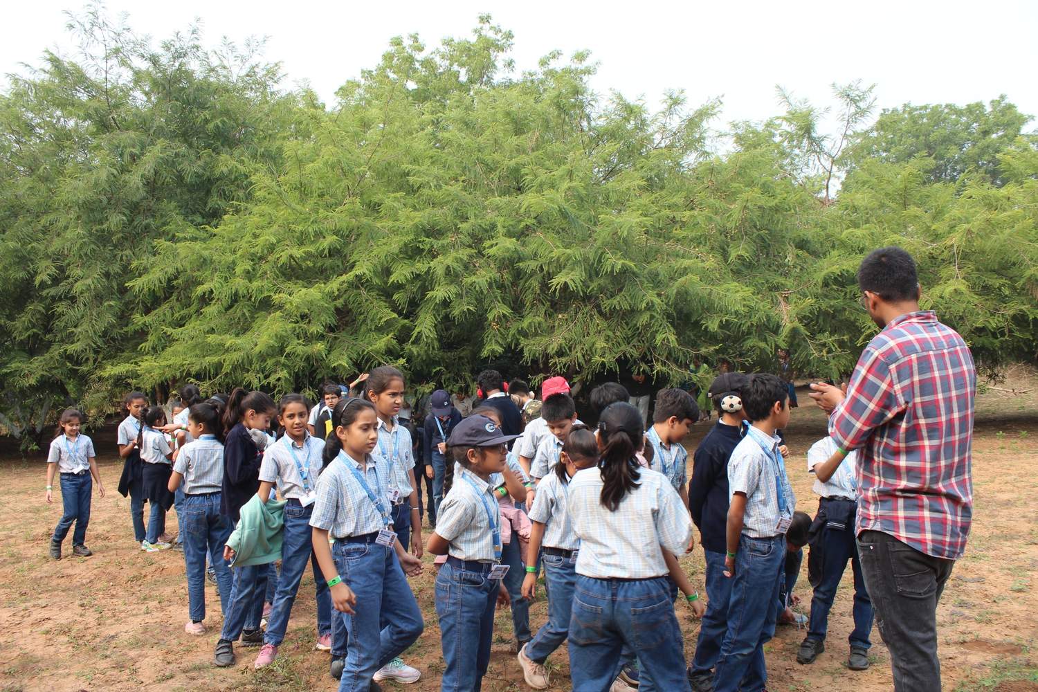 Students walking through dense green forest