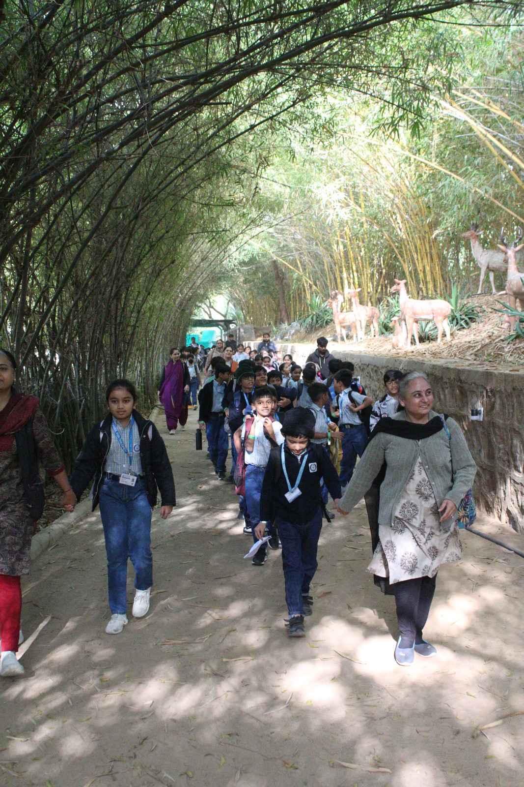Students walking through a natural bamboo tunnel