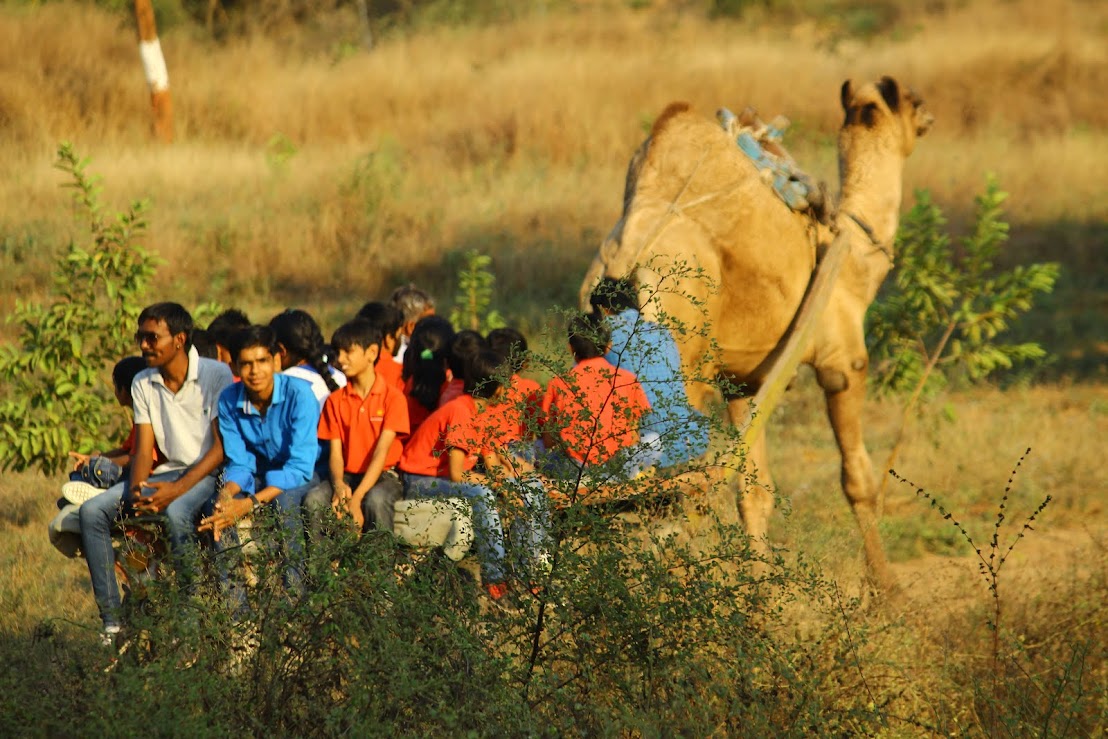 Students enjoying a camel cart ride through the nature trail