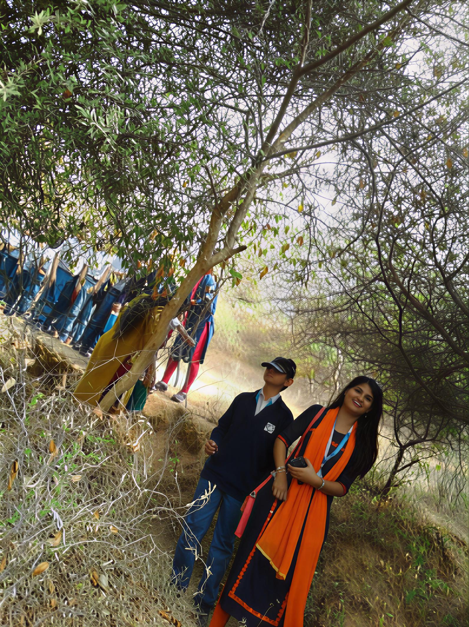 Students exploring the woods during nature trek