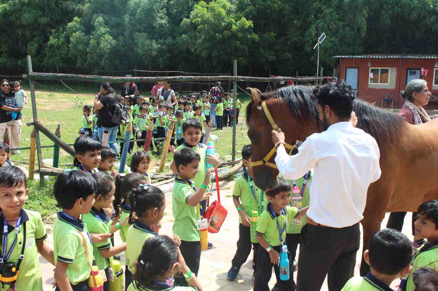 Instructor showing a brown horse to students on a field trip