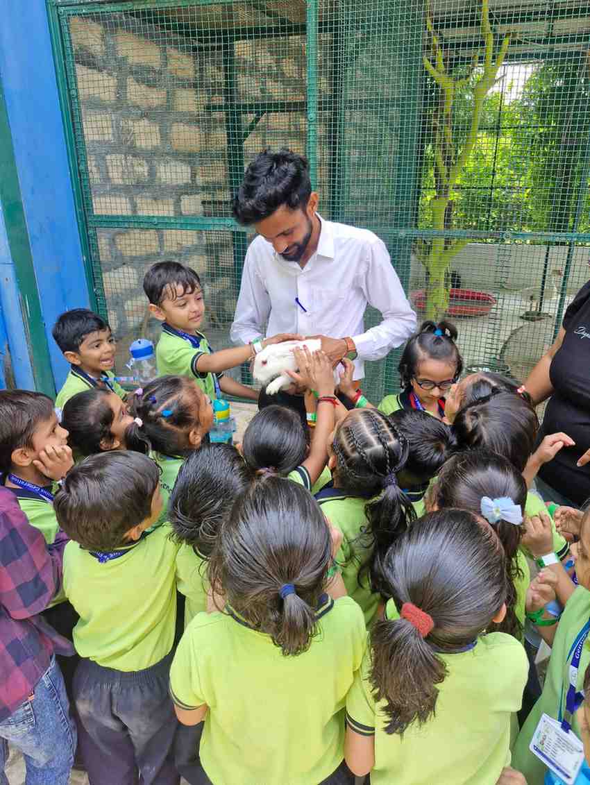 School children interacting with a white rabbit during a farm visit