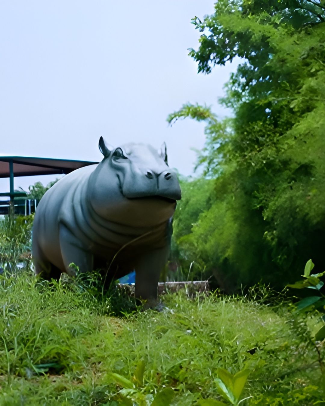 Hippopotamus statue on green lawn