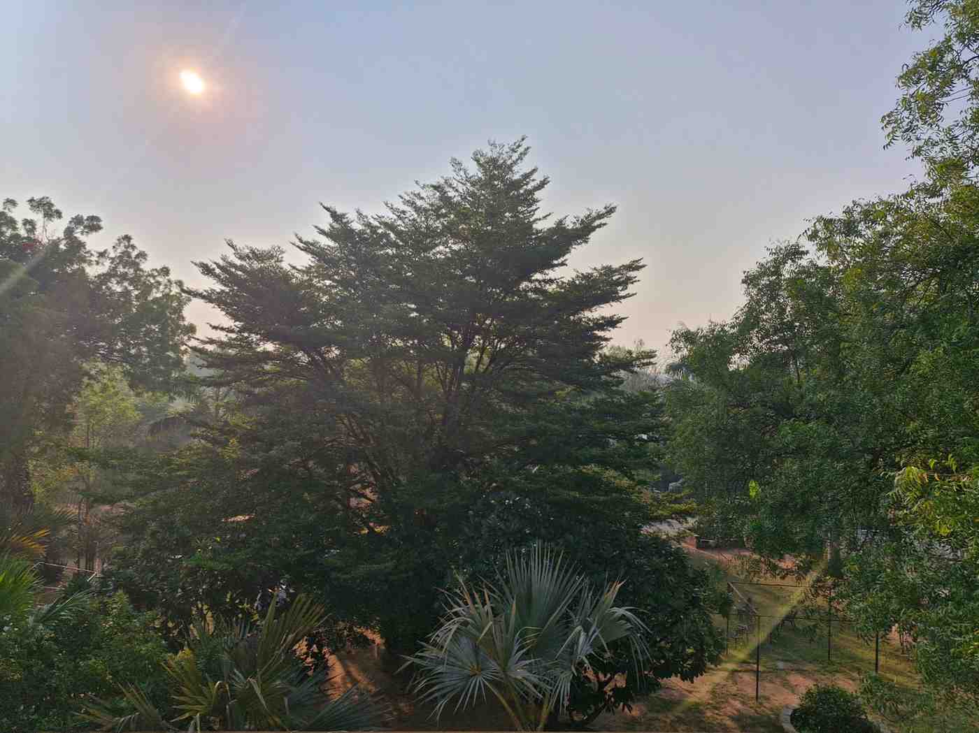 Panoramic view of the lush green garden landscape at the campsite